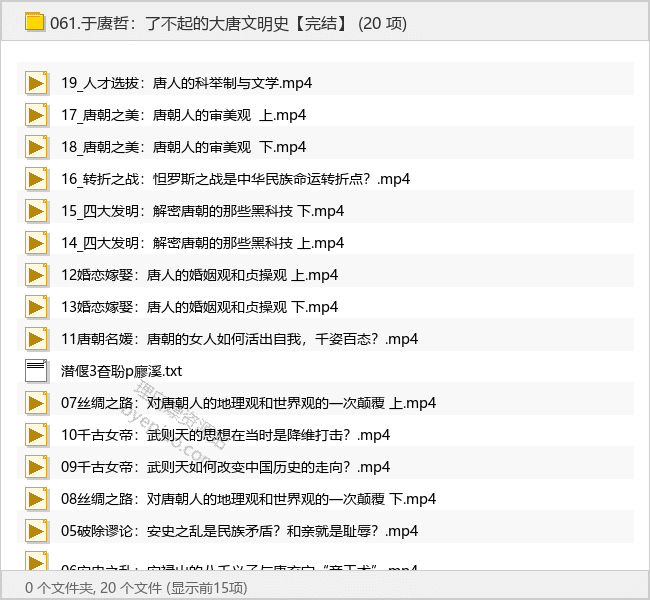 于赓哲：了不起的大唐文明史【完结】
