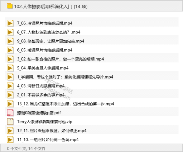 人像摄影后期系统化入门-理白嫖资源站