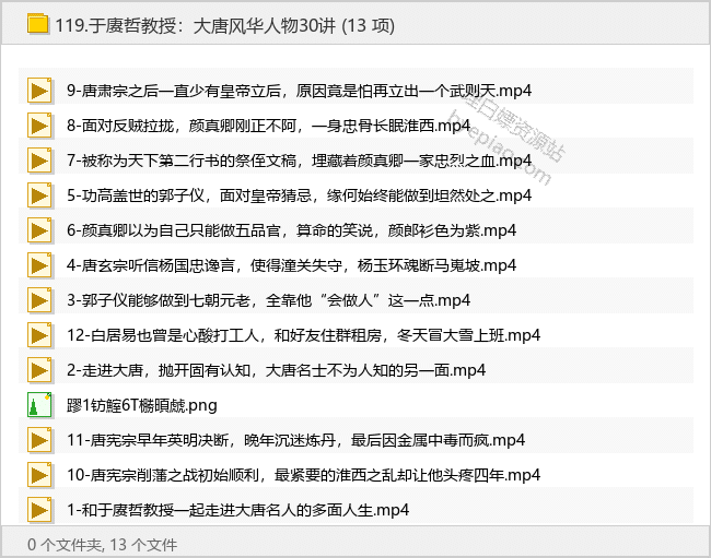 于赓哲教授：大唐风华人物30讲 - 理白嫖资源站-学习课程专区论坛-免费资源分享-理白嫖资源站