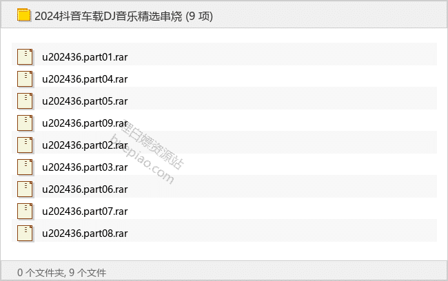 2024抖音车载DJ音乐精选串烧