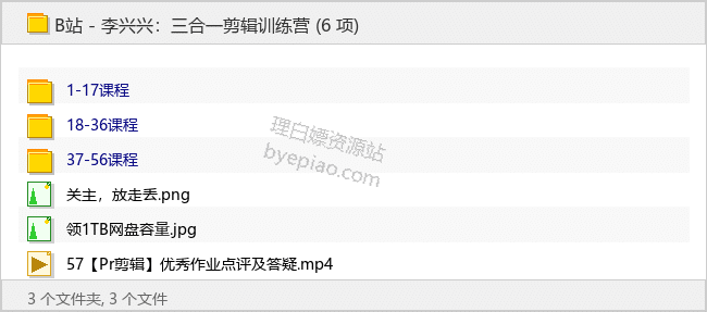 B站 - 李兴兴：三合一剪辑训练营-理白嫖资源站