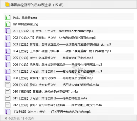 华语辩论冠军的思辩表达课-理白嫖资源站
