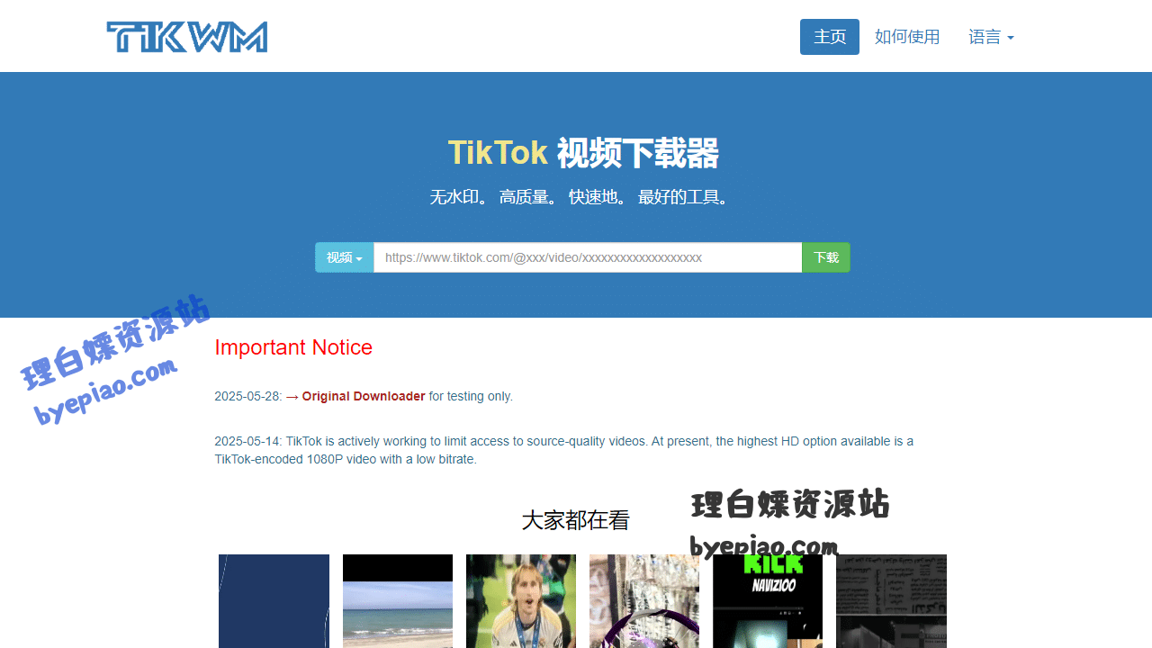 实用工具网站截图 - Tiktok视频无水印下载器 - TikWM界面展示