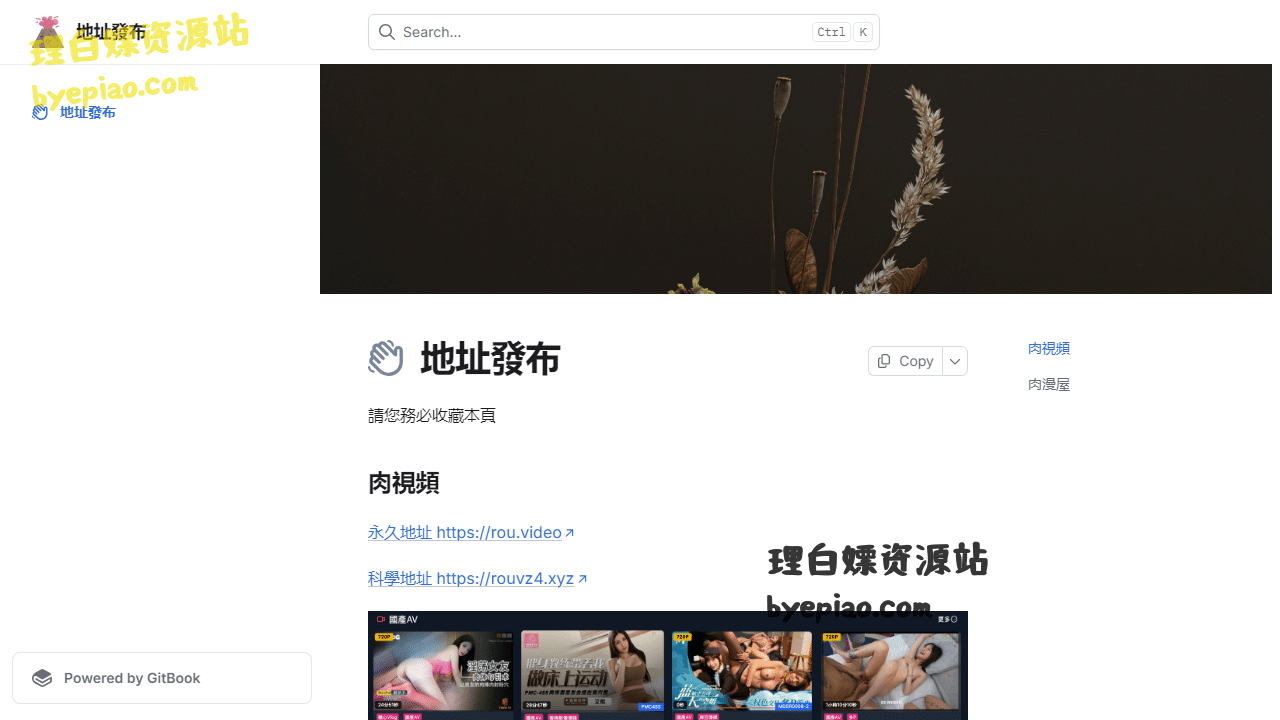 实用工具网站截图 - 地址發布 | 地址發布界面展示