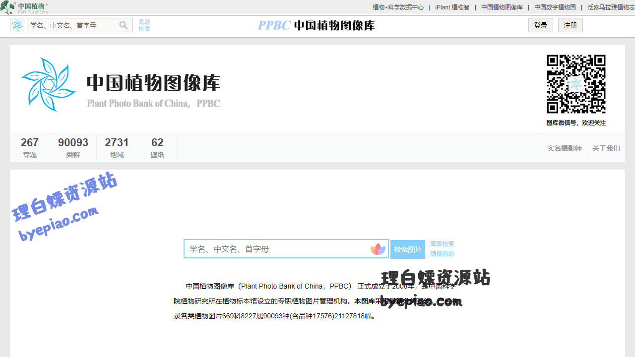 实用工具网站截图 - PPBC中国植物图像库——最大的植物分类图片库界面展示