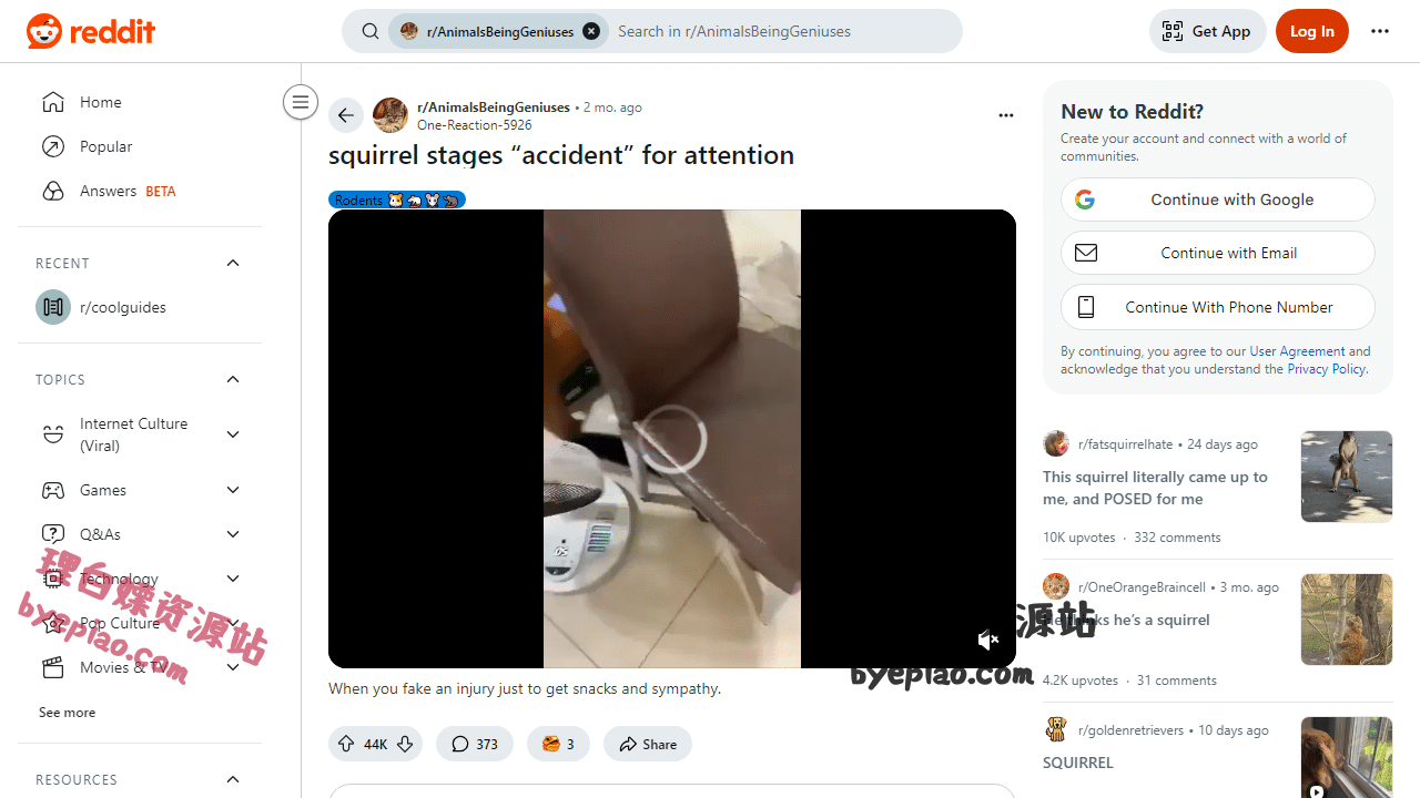 实用工具网站截图 - Video watch page: squirrel stages “accident” f...