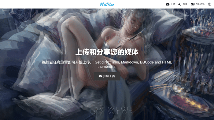 黑猫图床：公益高速CDN图片分享平台，轻松上传，全球极速呈现-理白嫖资源站