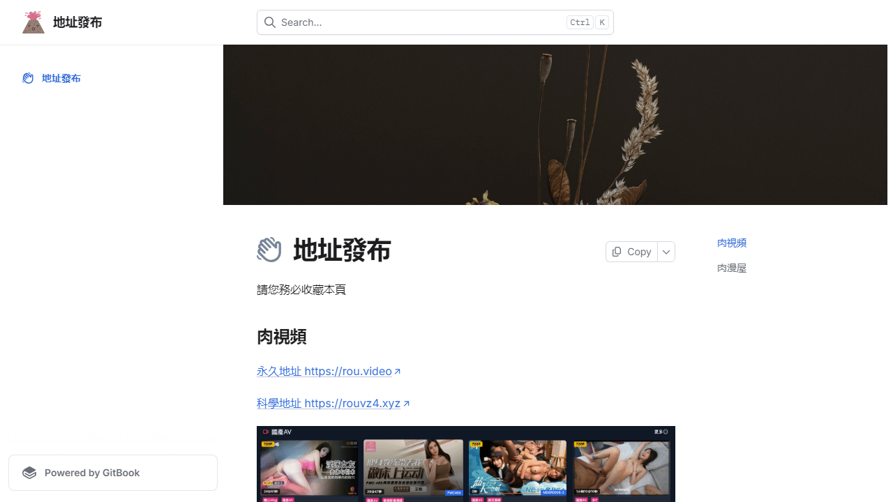 深度解析韩国漫画在线阅读：Rou漫屋的魅力与服务器流畅运行秘诀 - 理白嫖资源站-理白嫖资源站