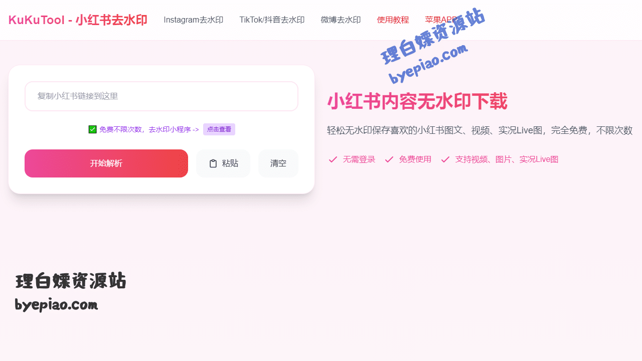 小红书去水印-小红书内容无水印下载保存视转换工具界面