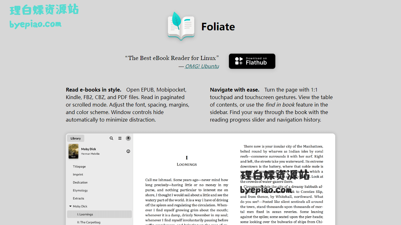 Foliate—E-bookReader实用工具界面